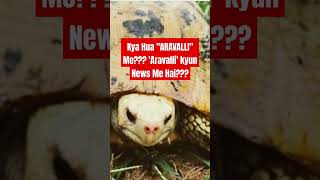 Important Why is quotARAVALLIquot in News currentaffairs tortoise turtle iucn environment upsc [upl. by Danae626]