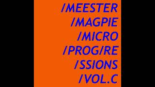 Meester Magpie  Microprogressions VolC 2024 FULL ALBUM [upl. by Harte]