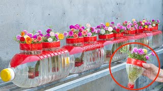 Home Decoration Recycle Plastic Bottles To Make Beautiful Portulaca Moss Pots For Your Home [upl. by Dugald]