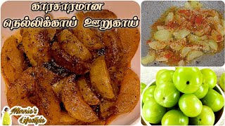 3 பொருட்கள் போதும் காரசாரமான நெல்லிக்காய் ஊறுகாய் ரெடி amlapickle pickle amlapicklerecipe [upl. by Mellen]