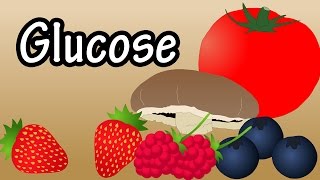 Glucose  What Is Glucose  Foods High In Glucose  How Glucose Affects The Body [upl. by Ruella]