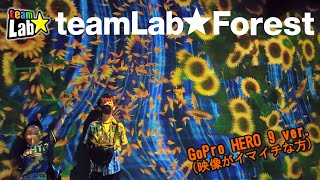 チームラボフォレスト★teamLabForest┃映像イマイチver [upl. by Philender597]