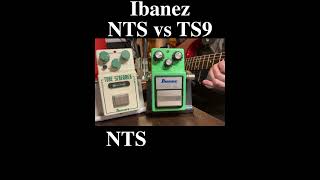 Ibanez TS9 vs NTS NuTubeScreamer ibanez guitarpedals guitar fender [upl. by Eenwahs203]