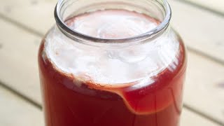 JE FAIS POUR LA PREMIERE FOIS DU KOMBUCHA HIBISCUS STYLE RISE ma recette [upl. by Spalding]