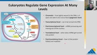 BIOL201 Ch161  Gene Regulation Overview [upl. by Omrelliug]