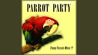 Happy Parrot Music [upl. by Aidne]