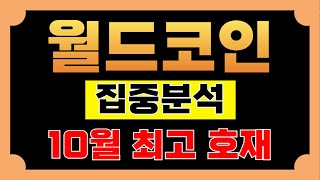 월드코인 집중분석 10월 최고 호재 세력의 움직임까지 월드코인호재 [upl. by Glaser]