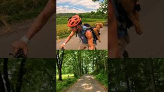 Cades Cove Scenic Loop [upl. by Olli]