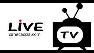 LIVE Streaming PERSICO SERIANA  LIC VEROLANUOVA [upl. by Ettezil]