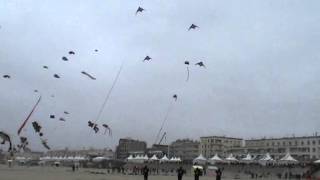 CerfsVolants Berck 2013  RedBull KiteForce [upl. by Rambort]