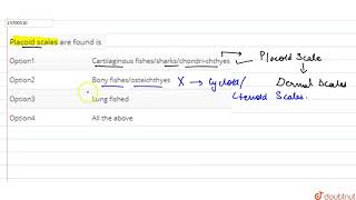 Placoid scales are found is [upl. by Allimak]