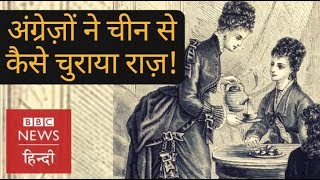 Chinas secret which was stolen by Britishers BBC Hindi [upl. by Enellek]