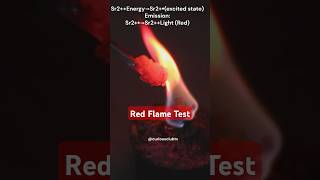 Flame Test  Red Flame Strontiums Interesting Facts science chemistryexperiment experimentshorts [upl. by Mercer]