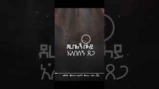 Aster Abebe  NEW ALBUM  Fera Frehateፈራ ፍርሀቴ  Hallelujah ሃሌሉያshorts [upl. by Ephrayim]