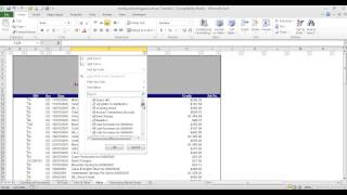 Excel Home Editing Filter [upl. by Ohare]