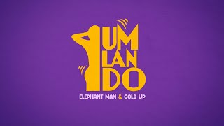 Elephant Man amp Gold Up  Umlando Clean  Extended Intro AUDIO [upl. by Aenyl415]