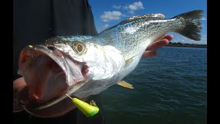 S2 EP 2 WILD WEAKFISHING BARNEGAT BAY SLAMBOREE SALTWATER UNDERGROUND [upl. by Benita]