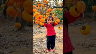 Momoni can eat fruits🥰মামুনি ফল পারে ফল খাব youtubeshorts shorts short [upl. by Daffy]