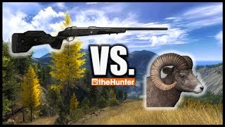 65x55 Panther vs Bighorn Sheep  theHunter Classic [upl. by Atinram732]