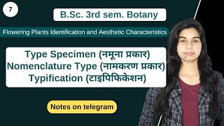 Type Specimen  Nomenclature Type  Typification  B Sc 3rd sem Botany [upl. by Gauldin]