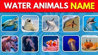 Water Animals name 20 Animal NameSea Animal Name WATER ANIMALS NAMES [upl. by Lianna]