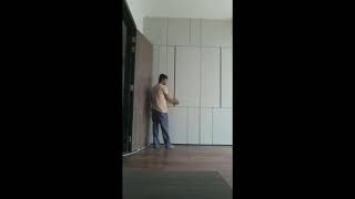 MIRAI Flush Sliding Door System with Soft Closing  80kg HD [upl. by Epilif]