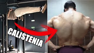 LOS QUE HACEN CALISTENIA TIENEN LA ESPALDA MÃS FUERTE QUE LOS QUE VAN AL GIMNASIO Entrenamiento 51 [upl. by Dallon127]