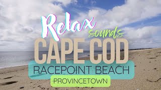 ASMR Racepoint Beach Provincetown [upl. by Roderich432]