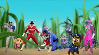 power rangers paw patrol pups get shrunk shrinkasect shrinks the pups and the rangers [upl. by Lemrahc]