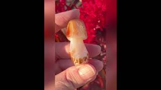 Sardonyx agate crystal mushroom carving cottagecore mushroomcore [upl. by Gretal754]