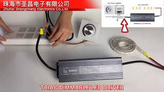 How to connect triac dimmable led driver [upl. by Adaynek]