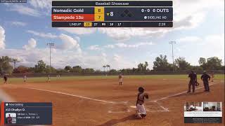 Stampede 13u vs Nomadic Gold 20241103 [upl. by Adaliah]