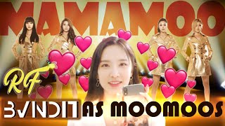 BVNDIT being the biggest Mamamoo stans in the industry [upl. by Barta]