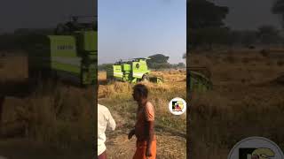 Harvester rice cutting ✂️✂️✂️psvlogar automobile npjcbvlog [upl. by Ittak]