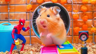 Hamster Outsmarts Squid Game Guard in Epic Maze Escape 🐹 Hamster Maze [upl. by Gaughan894]