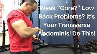 Weak “Core” Low Back Problems It’s Your Transverse Abdominis Do This  Dr Wil amp Dr K [upl. by Gus]