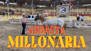 SUBASTA de caballos MILLONARIA 2024   Campeonato Millonario [upl. by Yecak678]