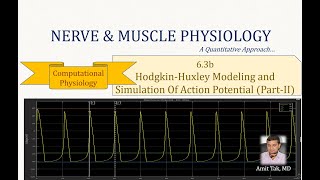 63b HodgkinHuxley Modeling and Simulation of Action Potential Part 2  Electrophysiology [upl. by Gradeigh]