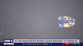 Anacostia River opens to swimmers [upl. by Allegna256]