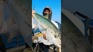 BigGame Offshore fishing Korea Angler Jeepsynam [upl. by Hafinah]