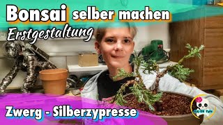 Bonsai selber machen  Zwerg  Silberzypresse  Baumarkt Pflanze zum Bonsai gestalten für unter 4 € [upl. by Atinet111]