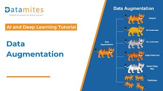 Data Augmentation Techniques  Deep learning tutorial  Keras  Python [upl. by Nittirb]