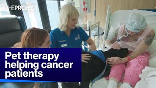 How Pet Therapy is Helping Cancer Patients [upl. by Arikal]