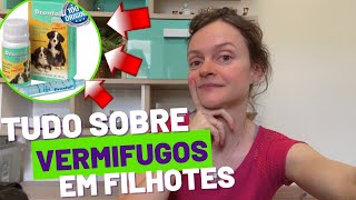 Tudo sobre Vermífugo em Filhotes  Veterinária responde [upl. by Cairns]