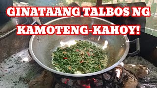 HOW TO COOK TALBOS NG KAMOTENGKAHOY BICOL [upl. by Adnorat]