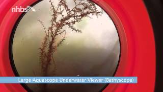 Looking underwater with a large aquascope [upl. by Durwood731]