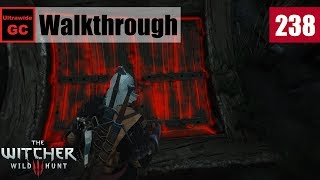 The Witcher 3 Wild Hunt 238  Out of the Frying Pan into the Fire  Walkthrough [upl. by Trab]