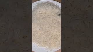 Actual Footage Of Kempner’s Rice Diet rice carbs glucose [upl. by Schoof]