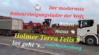 Der modernste Rübenreinigungslader der Welt Holmer Terra Felis 3 der Beste seiner Klasse legt los [upl. by Earal840]