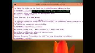 How To Fix Or Repair Missing System Files Error  0x800F0906 In Win 81 [upl. by Holt81]